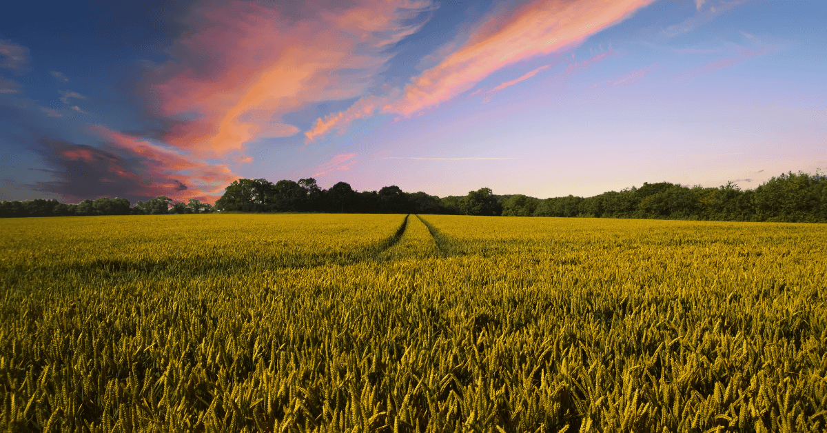 Farming Songs